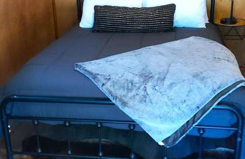 Cave Junction House | Pet-Friendly Diggins Cabin 2 with Oceanfront Views