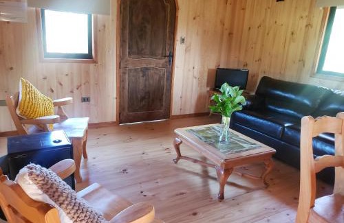 Villarrica Ski Chalet | Discover Digueñe Pedregoso: Pet-Friendly Ocean View Escape