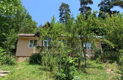 Dilijan Apartment | Experience DILI Cottage: Guest Rated 9/10 Stay Awaits