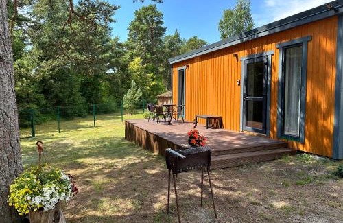 Upesgriva House | Experience Dimantu Nami: Pet-Friendly Oceanfront Retreat