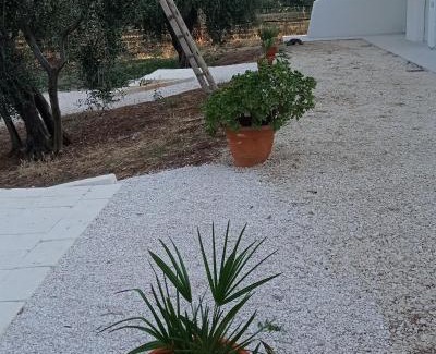 Mattinata Apartment | Exceptional Dimora Basso: Child-Friendly, Guest Rated 9.6