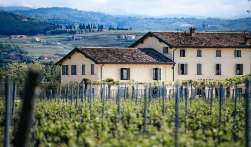 Gargagnago di Valpolicella House | Dimora Buglioni Wine Relais - Rated 9/10, Pet-Friendly Stays