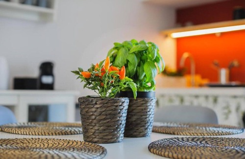 Pezze di Greco House | Experience Relaxing Apulian Holidays at Dimora D'Erchia