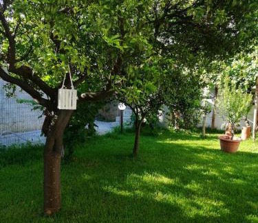 Marina di Caronia House | Family-Friendly Dimora Damare: Rated 9/10 by Guests