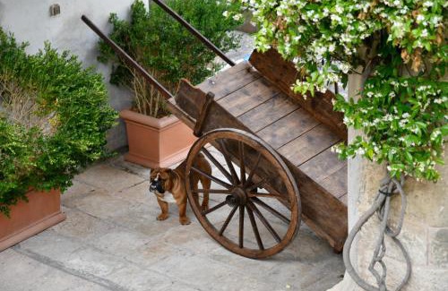 Minervino di Lecce House | Elegant Dimora Duchessina Suites with Oceanfront Amenities