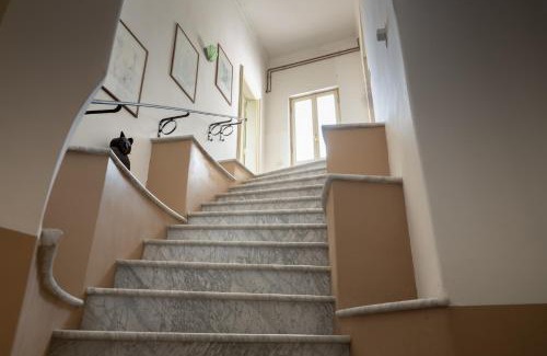 Colli al Volturno Apartment | Dimora 'Medoro'