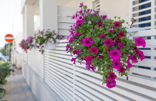 Cozze Bed & Breakfast | Experience Dimora Nesea: Oceanfront Retreat with Pool