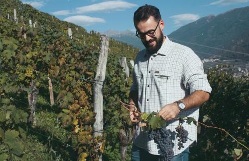 Madonna di Tirano House | Historical Wine Retreat at Dimora Perla di Villa, 9.8 Rated