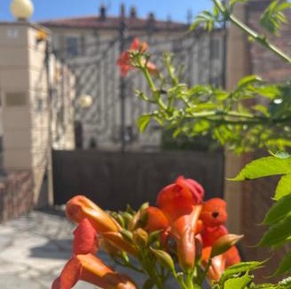 Ozzano Monferrato Bed & Breakfast | Historic Dimora Storica with Oceanfront Views & Family Friendly