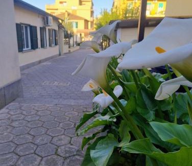 Suburbio XI della Vittoria Apartment | Inviting Dimora Trionfale: Pet & Child Friendly Retreat