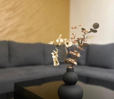 Veles Apartment | Dimov Urban Stay