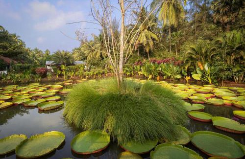 Medicherlapalem Hotel | Discover RVR Sarovar Portico: Family-Friendly Retreat