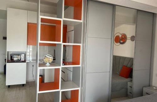 Issyk-Kul Region Apartment | Diona 217