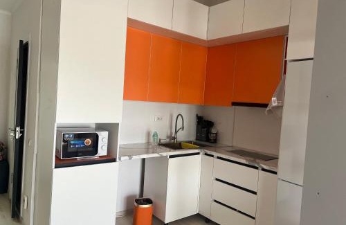 Issyk-Kul Region Apartment | Diona 217