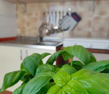 Scoglitti House | Pet-Friendly Oceanfront Stay at Dirò Camere - Rated 8.7/10