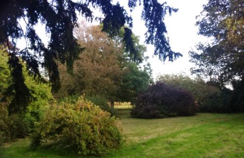 Aberdeen House | Disblair House: Pet-Friendly Retreat with Breakfast Included