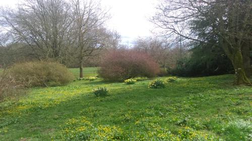 Aberdeen House | Disblair House: Pet-Friendly Retreat with Breakfast Included