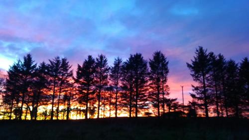 Aberdeen House | Disblair House: Pet-Friendly Retreat with Breakfast Included