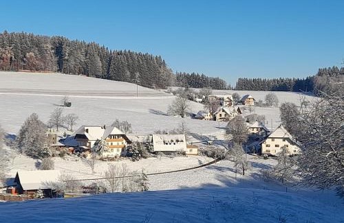 Biederbach House | Dischhof