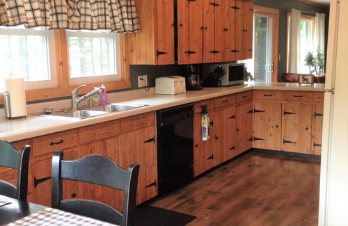Birchwood Cabin | Family-Friendly Lake Cabin with Kitchen Amenities