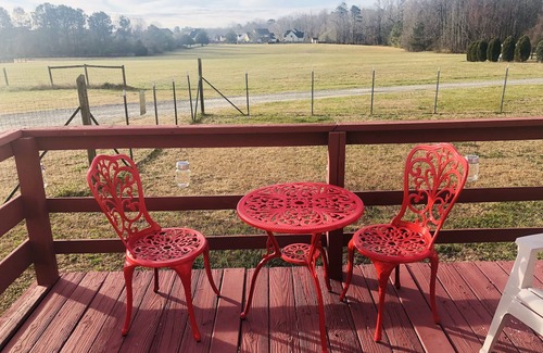Raleigh House | Pet-Friendly Bungalow Near Downtown Raleigh with Spa & Breakfast