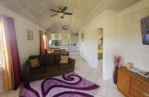 Jackson Apartment | Discover the Charm of Jackson Breezy: A Haven for Vacationers and Event Planners