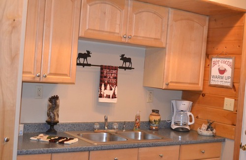 Newberry Cabin | Experience the Wonders of Upper Peninsula with Ocean Views