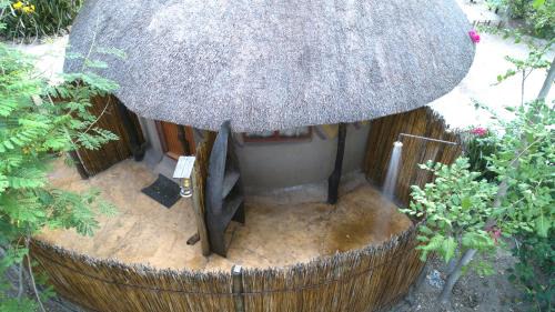 Maun Bed & Breakfast | Pet-Friendly Discovery Bed and Breakfast with Pool Access
