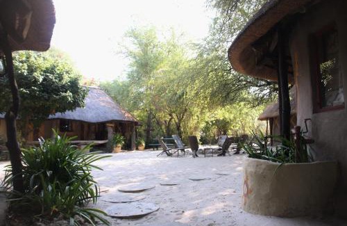 Maun Bed & Breakfast | Pet-Friendly Discovery Bed and Breakfast with Pool Access