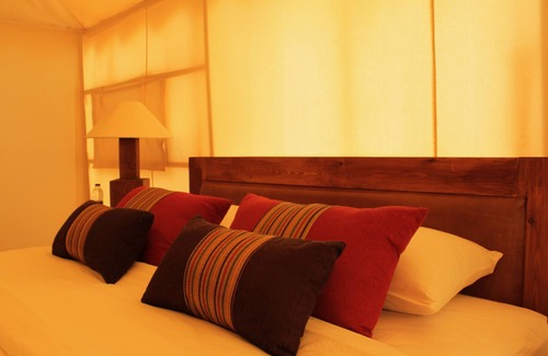 Wadi Rum Other | Discover the Excellence of Discovery Bedu: 4-Star Comfort