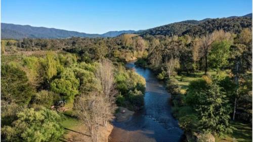 Porepunkah Resort | Pet-Friendly Discovery Parks - Mount Buffalo with Pool & Views