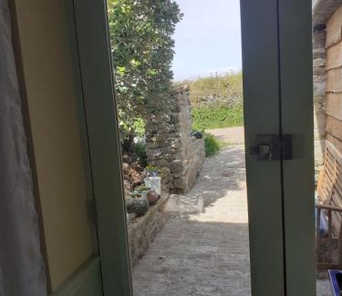Penzance Apartment | Enchanting Distant Lights: Perfect for Pet Lovers, 10/10 Rated