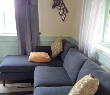 Penzance Apartment | Enchanting Distant Lights: Perfect for Pet Lovers, 10/10 Rated