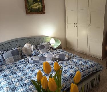 Loket Apartment | Experience Comfort at Diviš73 with Spa and Family Amenities