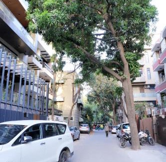 Saket Apartment | Exceptional Divine India Service Apartment with Ocean View