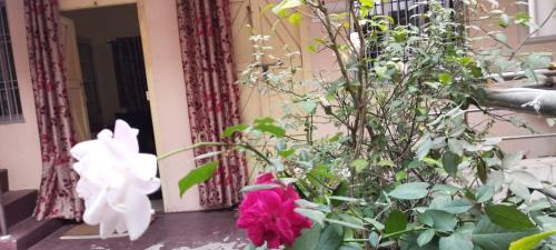 Puri Apartment | Inviting 1 BHK AC Retreat - Divine View at Swarna Bhavan
