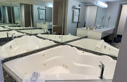 Calgary Hotel | Eco-Friendly Divya Sutra Plaza with Pool & Conference Centre