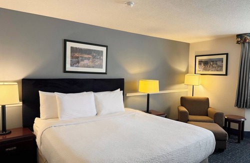 Calgary Hotel | Eco-Friendly Divya Sutra Plaza with Pool & Conference Centre