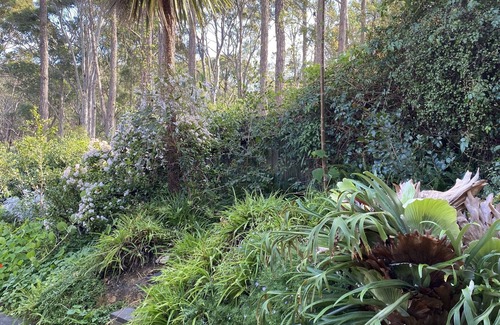 Dalmeny House | Relax at Dixie Margaret Surf Shack with Oceanfront Views