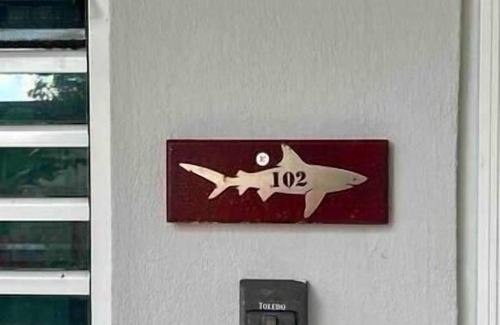 Islote House | Pet-Friendly DK Back Yard Surf Shack Apartment #2 Awaits