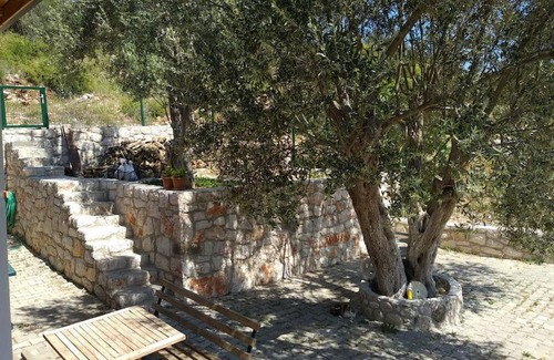 Urla House | Serene Retreat Surrounded by Nature with Pet-Friendly Perks