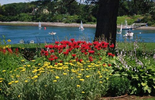 York Hotel | Exceptional Dockside Guest Quarters with Breakfast & Accessibility