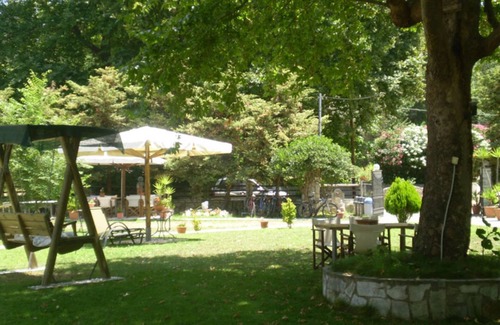 Platania Villa | Discover Dodis Village: Family-Friendly & Pet Welcoming Stay