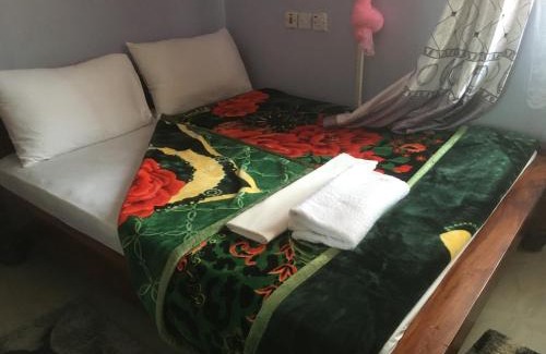 Dodoma Hotel | Comfortable Stay at Dodoma Siesta Inn with Great Amenities
