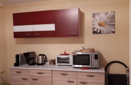 Windhausen Apartment | Pet-Friendly Apartment with Kitchen in Bad Grund, Harz Region