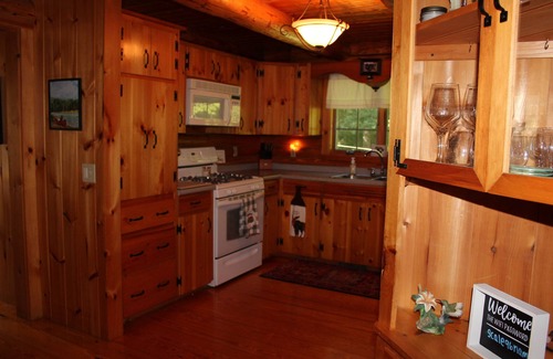 Brownfield Cabin | Pet-Friendly Log Cabin with Hot Tub in Southern Maine