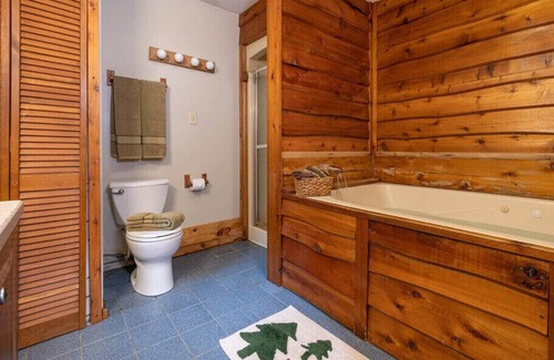 Triumph Cabin | Dog-Friendly Cabin Steps from Starved Rock State Park