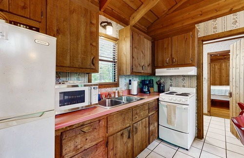 Blue Ridge Cabin | Pet-Friendly Cabin with Grill, Kitchen & Foosball Fun