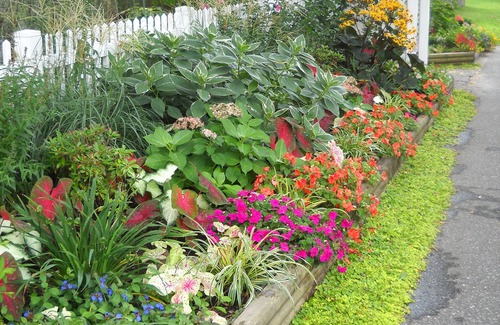 Villas Apartment | Pet-Friendly Coastal Cottage: A Garden Retreat for Two