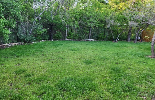 Austin House | Dog-Friendly Retreat in Vibrant South Austin